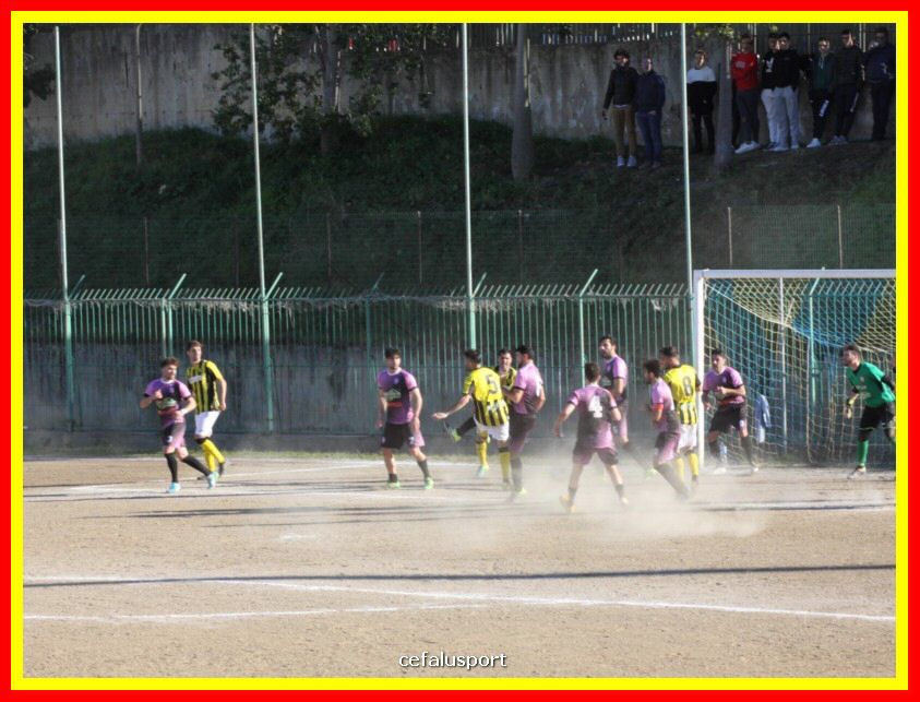 190310 Cephal_Torrenov 142_tn.jpg